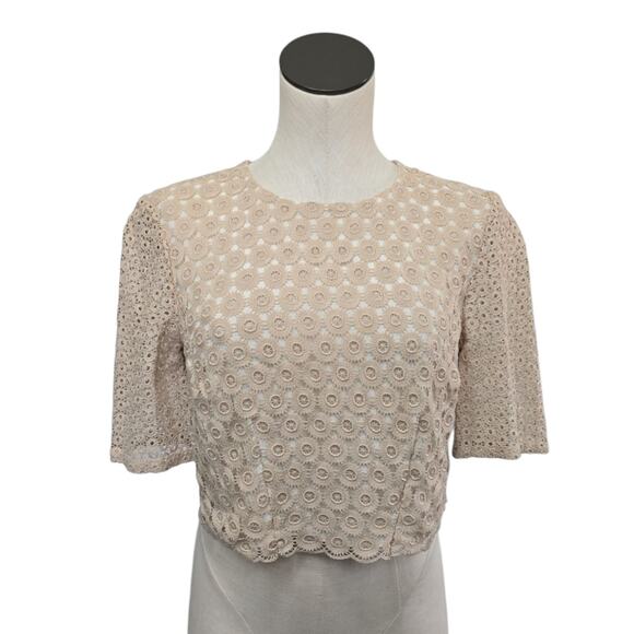 ALC Lace Crop Top Short Sleeve Womens Size Medium Sheer Neutral Bohemian Lace - Picture 1 of 9